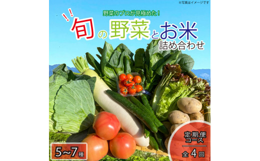  N4  5`7i  5kg lߍ킹 Zbg { VN G߂̖ Ȃ ubR[ Lxc  ^X Tj[^X ق イ s[} Ƃ낱 g}g ~j