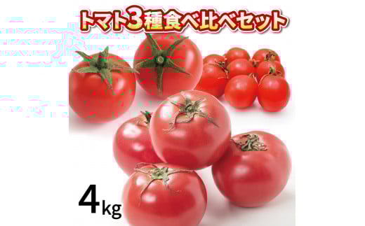 ys\z g}g ~jg}g 4kg 3 Hה Zbg ① lߍ킹  teBJ   n x ʕ XC[c W[X pX^ XpQeB[ \[X T_ hbVO