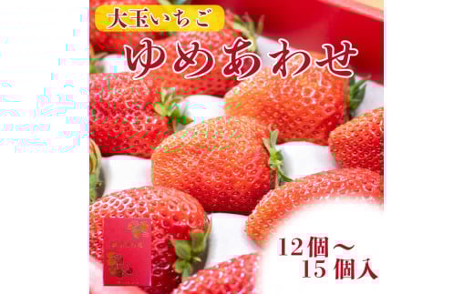先行予約 贈答用 いちご やよいひめ かおりの 12〜15個 化粧箱入 大粒 果物 フルーツ 苺 ストロベリー ケーキ アイス タルト ジュース ゼリー ジェラート シャーベット ジャム スムージー 洋
