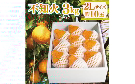 先行予約 不知火 約3kg 2Lサイズ 10玉 しらぬい みかん 蜜柑 果物 フルーツ 柑橘 オレンジ ゼリー ジュース アイス ケーキ デザート スイーツ ジャム 糖度 甘い ビタミン 美容 健康  徳島県 阿波