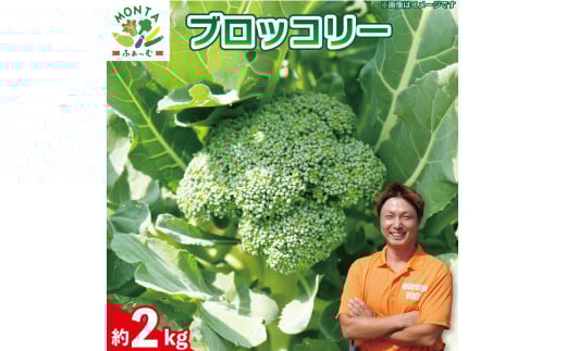 y s\ z ubR[ 2kg  ₳ Y ̂ VN { Gߖ Yn NxQ T_ X[v X`  V`[ J[ aH mH  h{ r^~ e N ① 