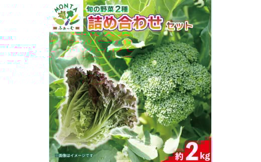 【 先行予約 】 野菜 ブロッコリー サニーレタス 約2kg 詰め合わせ セット 野菜 やさい 国産 朝採れ 新鮮 旬 季節野菜 産地直送 鮮度抜群 サラダ スープ 味噌汁 焼肉 鍋 シチュー カレー スム