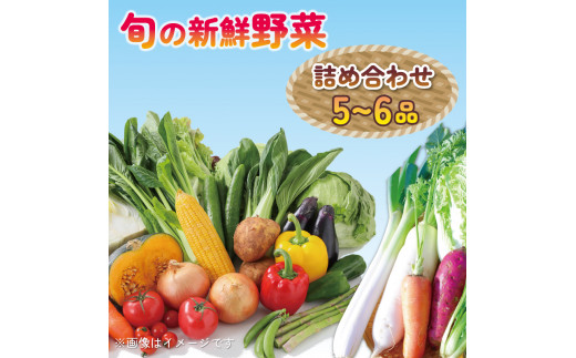 季節の野菜 詰合せセット 5〜6品目 国産 朝採れ 新鮮 旬 季節野菜 産地直送 鮮度抜群 玉ねぎ パプリカ ブロッコリー ニラ ナス ミニトマト きゅうり にんにく ベビーリーフ バジル サンチュ