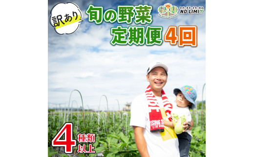 定期便 4回 訳あり 野菜 4〜6種 詰合せ セット 旬野菜 やさい レタス グリーンリーフ サニーレタス ロメインレタス キャベツ 赤キャベツ 大根 ニラ スナップエンドウ さやえんどう 人参 玉ね