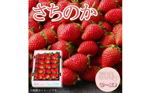  ̂ 500g S`2L y s\ z Xgx[ 嗱 ̂ VN ʕ t[c fU[g XC[c  َq mَq aَq P[L [[ W[X W ACX V[x