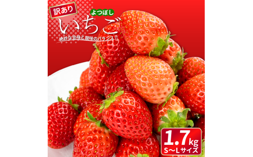 s\ 󂠂  ڂ 1.7kg ʕ t[c  Xgx[ P[L ACX V[xbg WF[g [[ W[X W X[W[ mَq aَq َq  t[cT