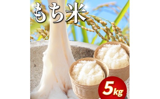 y 5kg z  5kg V ߘa7NY  Ԕ ͂ ~ ~ ۑ h ЊQ  G 啟  Cxg ݂ s\ gs gs14000āEpāEGāE