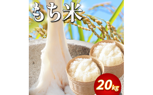 【 20kg 】 米 もち米 20kg 新米 令和7年産 餅 赤飯 おはぎ 備蓄 備蓄米 保存 防災 災害 おこわ 雑煮 大福 あられ イベント 餅つき 先行予約 阿波市 徳島県徳島県阿波市42000米・パン玄米・雑穀米