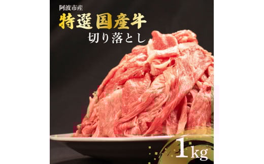 【 約 1kg 】牛肉 切り落とし 国産牛 小分け パック 冷凍 すきやき しゃぶしゃぶ 国産 野菜炒め 牛丼 中華炒め ビーフカレー カレー 肉じゃが 家庭用 内祝い ギフト 贈り物 ビーフ 徳島県 阿波