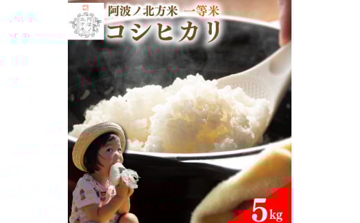 y Pi 5kg zRVqJ ߘa7NY gmk 1    ͂ ɂ    Hi ~ ~ ۑ h Mtg  v[g  O   