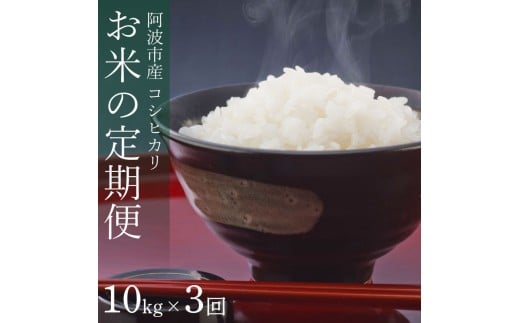 定期便 3回 米 コシヒカリ 10kg 令和7年産 米 こめ ご飯 ごはん おにぎり 白米 精米 卵かけご飯 食品 備蓄 備蓄米 保存 防災 ギフト 贈答 プレゼント お取り寄せ グルメ  徳島県 阿波市 栗栖農園