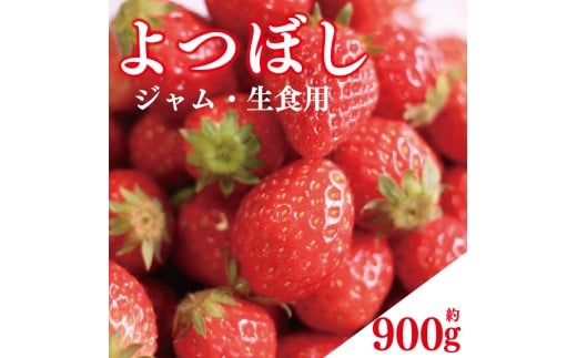 s\ 󂠂  ڂ 900g Wp Hp ʕ t[c  Xgx[ P[L ACX V[xbg WF[g [[ W[X W X[W[ mَq aَq َq 