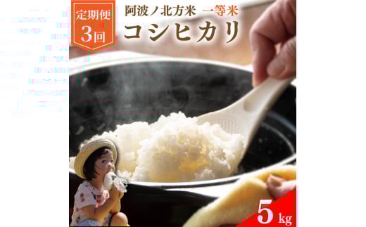 y  5kg × 3 z RVqJ ߘa7NY gmk  1 1    ͂ ɂ    Hi ~ ~ ۑ h Mtg  v[g 