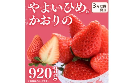 s3`t s\  󂠂  悢Ђ  2Zbg 920g   Xgx[ ʕ t[c P[L [[ W[X ACX V[xbg `R t[cTh 啟