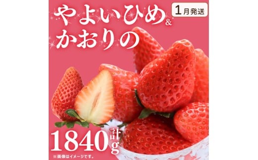 s1t s\  󂠂  悢Ђ  2 v1840g   Xgx[ ʕ t[c P[L [[ W[X ACX V[xbg `R t[cTh 啟 啟