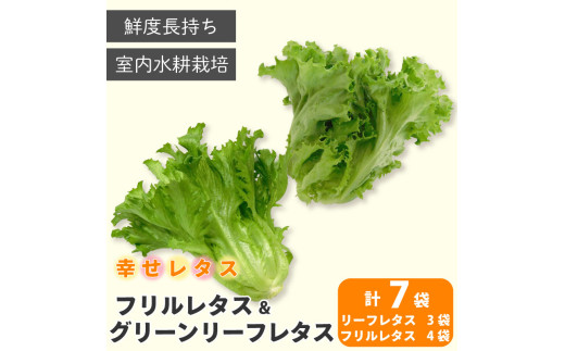 野菜 詰め合わせ セット レタス 計7個 幸せレタス フリルレタス 4個 グリーンリーフ 3個 水耕栽培  LED 栽培 低菌 野菜 丸ごと ベジタブル 副菜 常備菜 サラダ ヴィーガン ヘルシー徳島県阿波