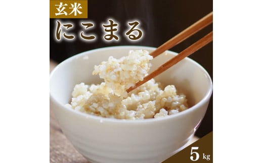 玄米 5kg にこまる お米 栽培期間中農薬不使用 安心 安全 こだわり栽培 ビタミン ミネラル 食物繊維 豊富 おにぎり お弁当 ブランド米 徳島県 阿波市 米笑徳島県阿波市15000米・パン玄米・雑