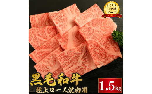 јa [X ē 1.5kg a Ƃ܎Or[t  イɂ   r[t BBQ AEghA Lv  ܂ y ٓ p j a LO Mtg  v[g