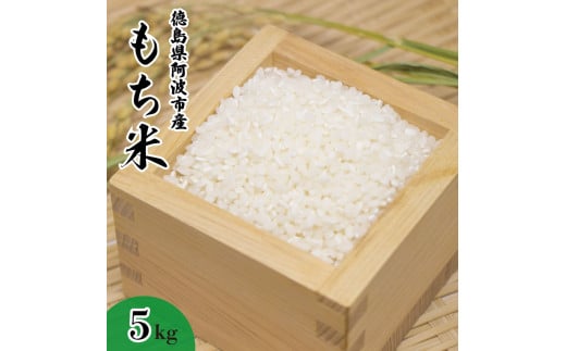  5kg Ԕ ͂ 5L R ~ ~ ۑ h ЊQ  G 啟  Cxg ݂ {X gs gs18000āEpāEGāEāE