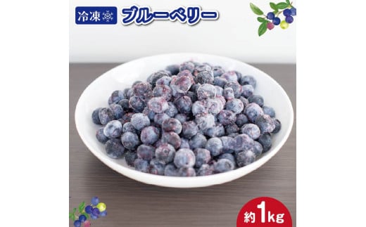 冷凍 ブルーベリー 約1kg フルーツ 国産 果物 大粒 甘い 糖度 ジャム ジュース ケーキ ゼリー スムージー ヨーグルト 洋菓子 お菓子 焼菓子 おやつ デザート スイーツ ポリフェノール アント