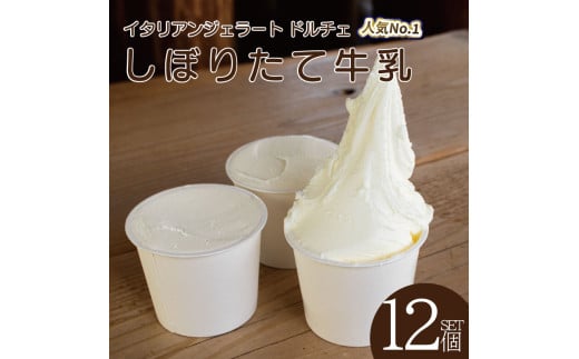 ジェラート イタリアンジェラート しぼりたて牛乳 12個 × 120ml アイスクリーム アイス シャーベット デザート スイーツ お菓子 洋菓子 おやつ 牛乳 ミルク ギフト プレゼント 贈答 お取り寄