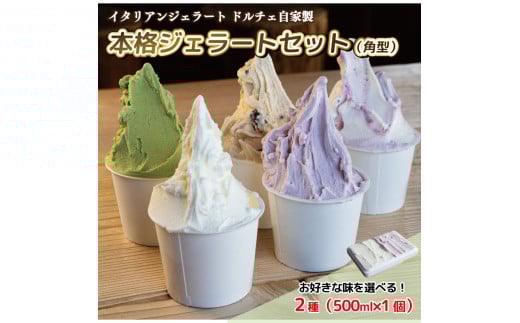 WF[g C^AWF[g 500ml Iׂt[o[ 2 ڂ肽ċ `R}[u ނ炳  [Og  L `R~g aO~ ACXN[ AC