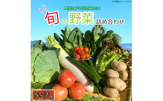 旬の野菜セット 5〜7品目 詰合せ セット 旬 新鮮 季節の野菜 野菜 やさい なすび ブロッコリー キャベツ 白菜 レタス サニーレタス ほうれん草 きゅうり ピーマン とうもろこし トマト ミニ