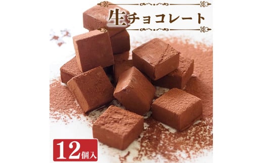 チョコレート スイーツ 生チョコ 12個 セット 冷凍 洋菓子 ケーキ デザート スイーツ 焼菓子 お菓子 おやつ 誕生日 記念日 贈答 ギフト プレゼント バレンタイン  徳島県 阿波市 CAKE EXPRESS徳島