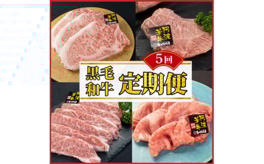 黒毛和牛 牛肉 定期便 5回 ロース サーロインステーキ A5等級 阿波華牛 和牛 ぎゅうにく 牛 ぎゅう うし 肉 ビーフ 赤身 ロース すき焼き すきやき しゃぶしゃぶ 焼肉 BBQ アウトドア キャンプ