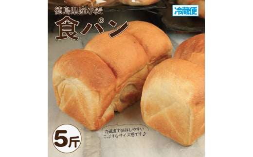Hp 5 p VRy Y    H H ` ԐH   O ①   gs tBI[ft@[igs10000āEpp