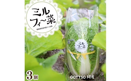 y s\ z ~j 3  ₳  ͂   X[v X` Е Lq L` Mtg 蕨 v[g  O r^~ N e ①  Yn VN  
