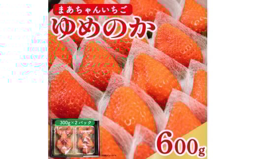 y s\ z  ߂̂ 600g (300g×2p)  Xgx[ ʕ t[c fU[g XC[c  َq mَq aَq P[L [[ W[X W ACX V[xbg X[W
