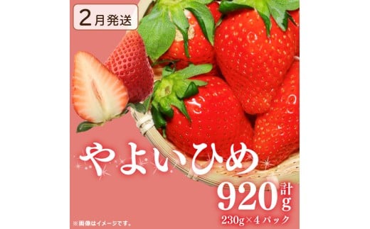 《2月発送》先行予約 訳あり いちご やよいひめ 920g 苺 ストロベリー 果物 フルーツ ケーキ ゼリー ジュース アイス シャーベット チョコ フルーツサンド いちご大福 大福 洋菓子 和菓子 ス