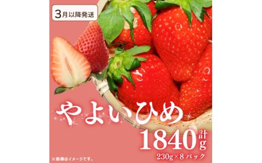 s3`ts\ 󂠂  悢Ђ 1840g  Xgx[ ʕ t[c P[L [[ W[X ACX V[xbg `R t[cTh 啟 啟 mَq aَq