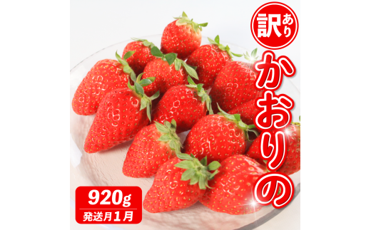 s1t s\ 󂠂   Iׂe 920g  Xgx[ ʕ t[c P[L [[ W[X ACX V[xbg `R t[cTh 啟 啟 mَq