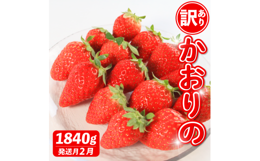 s2t s\ 󂠂   Iׂe 1840g  Xgx[ ʕ t[c P[L [[ W[X ACX V[xbg `R t[cTh 啟 啟 mَq