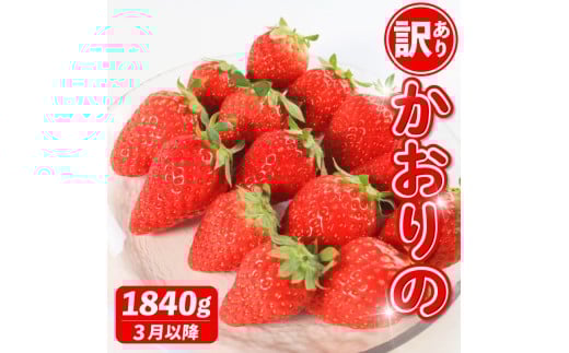 s3`t s\ 󂠂   Iׂe 1840g  Xgx[ ʕ t[c P[L [[ W[X ACX V[xbg `R t[cTh 啟 啟 m