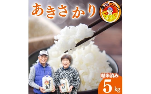  5kg ߘa7NY    ͂ ɂ    Hi ~ ~ ۑ h Mtg  v[g  O   gs ct@[