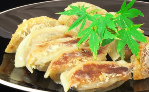 手づくり餃子 銀の羽 40個入【ぎょうざ ジューシー コラーゲン ビールのおつまみ ボリューム 小分け】K007012佐賀県基山町10500鍋セット・総菜・加工食品総菜
