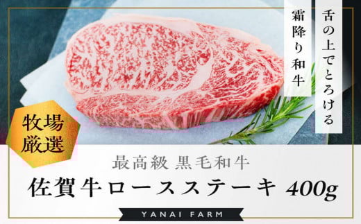 《佐賀牛》「梁井」霜降りロースステーキ 2枚 400g【佐賀牛 霜降り肉 ロース肉 サシ ステーキ 肉汁 とろける やわらか 美味しい ブランド肉】K081027佐賀県基山町29000肉牛肉