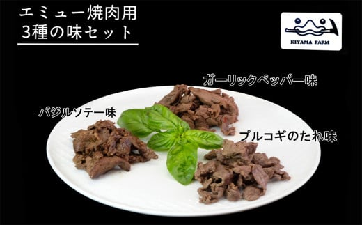 エミュー焼肉用3種の味セット【エミュー 基山産 高タンパク 高鉄分 低カロリー ヘルシー ジビエ 貴重肉 鉄分補給】K006024佐賀県基山町16000肉その他 肉