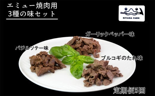 【5か月定期便】エミュー焼肉用3種の味セット【エミュー 基山産 高タンパク 高鉄分 低カロリー ヘルシー ジビエ 貴重肉 鉄分補給】K006316佐賀県基山町80000肉その他 肉