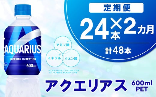 【2カ月定期便】アクエリアス 600mlPET×24本(1ケース)【コカコーラ 熱中症対策 スポーツ飲料 スポーツドリンク 水分補給 カロリーオフ ペットボトル 健康 スッキリ ミネラル アミノ酸 クエン