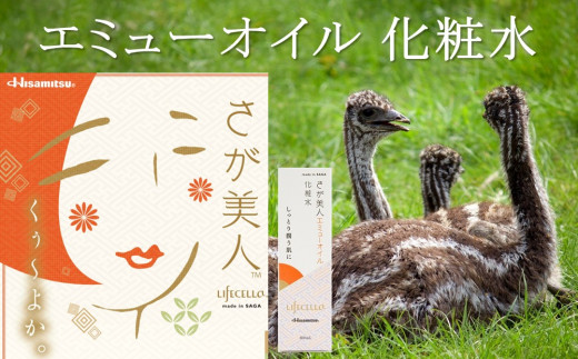 G~[ICϐ 2{yCtZlzyRX ϐ n ێ Ƃ G~[ ICzK053004ꌧR22000G݁EpiϐEtEei