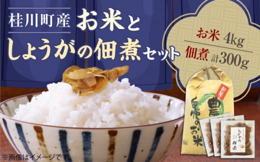 V j쒬Y  4kg  傤̒ώσZbg  Е  R т̂  ①  j쒬/ƂꂽđH[ADAI001]j쒬15000ZbgE؁E