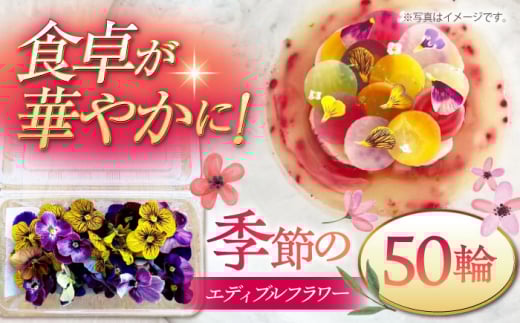 G߂̃GfBut[50ւ܂  K[jbV Hp  Hׂ nY   j쒬/NOGAMI@FARM[ADAU001]j쒬7000؁Ê̑ 