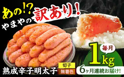 y S6ցz ܂ 󂠂 n hq q ؎q F 1kg  AF Y q  j쒬/Ђ܂R~jP[VY[ADAN035]j쒬72000ECY