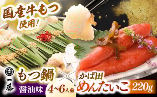 y ꓡ ×ΓczYјâ ݖ(4`6lO)ƂΓc̐hqq R{Zbg a z     ۂ X[vt Zbg  Zbg