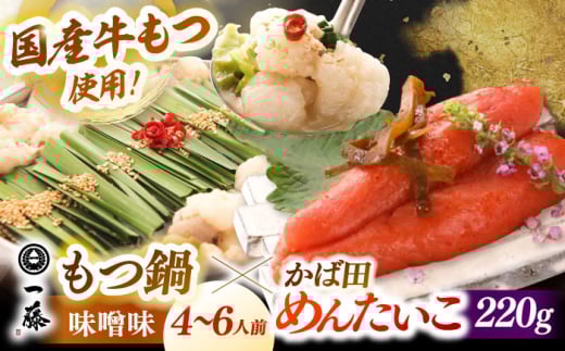 【 もつ鍋 一藤 ×かば田】国産黒毛和牛肉のもつ鍋 味噌(4〜6人前)とかば田の辛子明太子 コラボセット ▼和牛 ホルモン 牛もつ  小腸 鍋 ちゃんぽん麺 スープ付き 鍋セット 博多 もつ鍋セッ