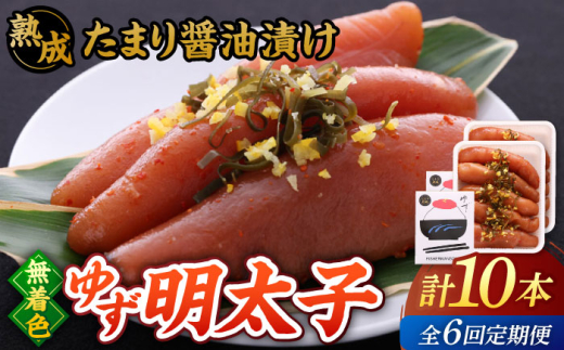 yS6ցzn ܂ݖЂ F 䂸q 10{(700g)߂񂽂 Mq Mq߂񂽂   @j쒬/LЃtBbV[}YNu  q ߂񂽂 [ADBO055]